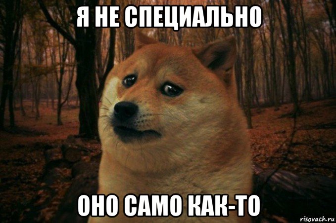 я не специально оно само как-то, Мем SAD DOGE