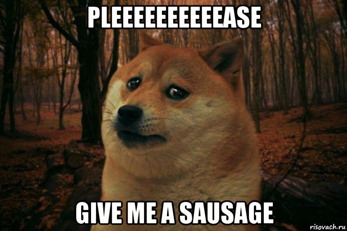 pleeeeeeeeeease give me a sausage, Мем SAD DOGE