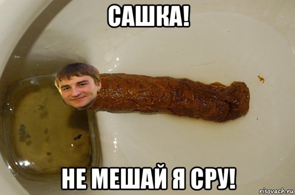 сашка! не мешай я сру!