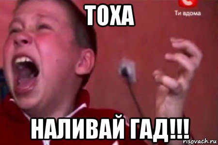 тоха наливай гад!!!, Мем  Сашко Фокин орет