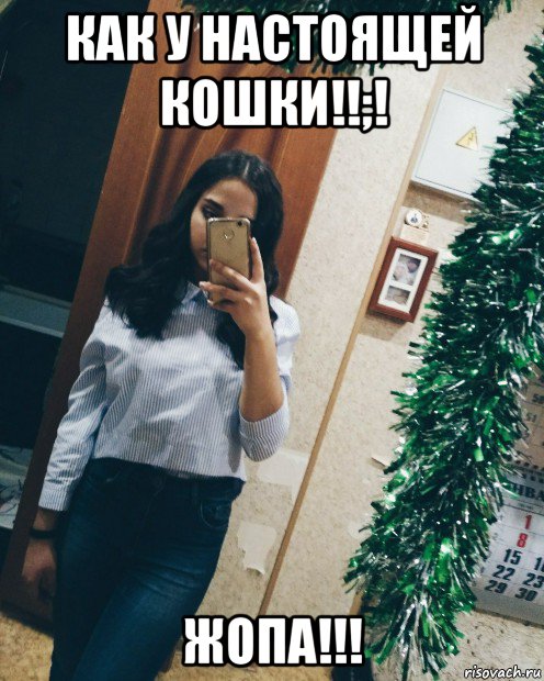 как у настоящей кошки!!;! жопа!!!