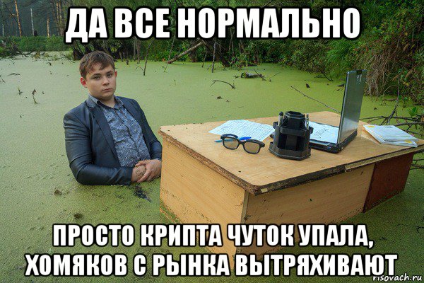 да все нормально просто крипта чуток упала, хомяков с рынка вытряхивают
