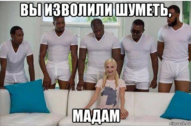 вы изволили шуметь, мадам