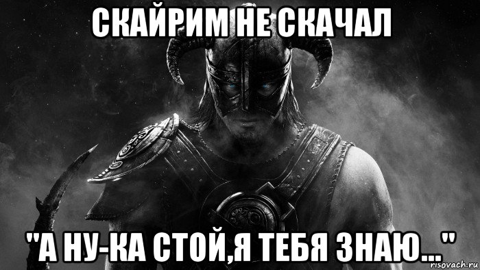 скайрим не скачал "а ну-ка стой,я тебя знаю...", Мем Skyrim