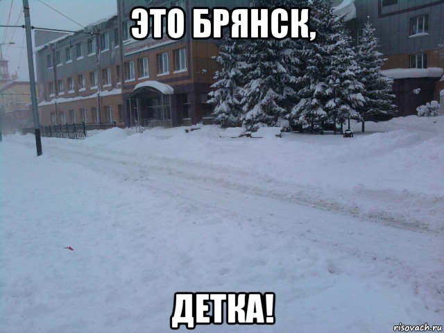 это брянск, детка!, Мем снег