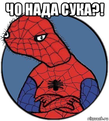 чо нада сука?! 