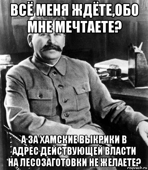 всё меня ждёте,обо мне мечтаете? а за хамские выкрики в адрес действующей власти на лесозаготовки не желаете?, Мем  иосиф сталин