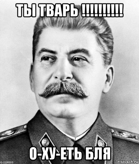 ты тварь !!!!!!!!!! о-ху-еть бля, Мем  Иосиф Виссарионович Сталин