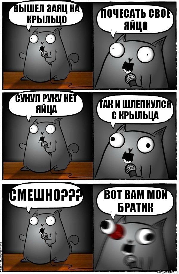 вышел заяц на крыльцо почесать свое яйцо сунул руку нет яйца так и шлепнулся с крыльца смешно??? вот вам мой братик, Комикс  Стендап-кот