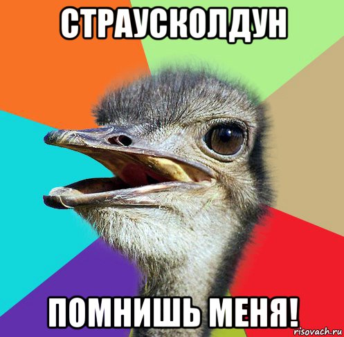 страусколдун помнишь меня!
