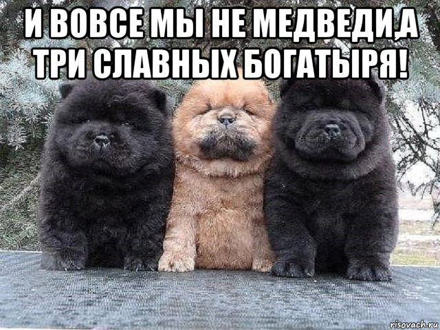и вовсе мы не медведи,а три славных богатыря! , Мем Суровые бутузы