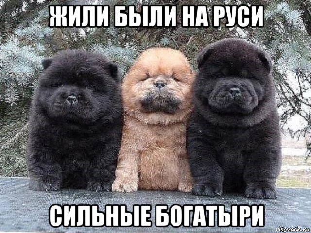 жили были на руси сильные богатыри, Мем Суровые бутузы