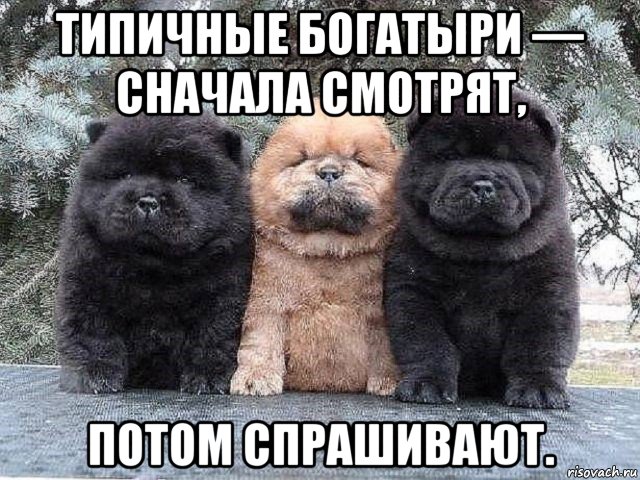 типичные богатыри — сначала смотрят, потом спрашивают., Мем Суровые бутузы