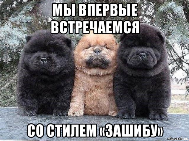 мы впервые встречаемся со стилем «зашибу», Мем Суровые бутузы