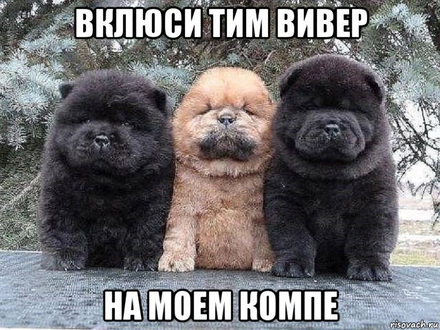 вклюси тим вивер на моем компе