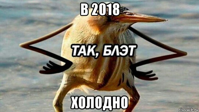 в 2018 холодно, Мем  Так блэт