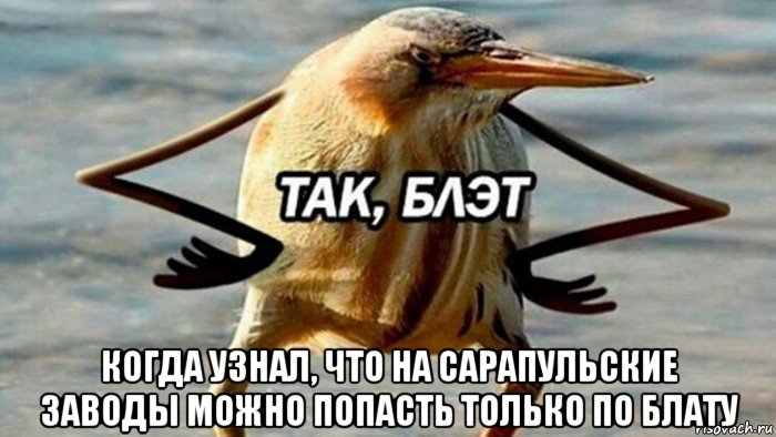  когда узнал, что на сарапульские заводы можно попасть только по блату, Мем  Так блэт