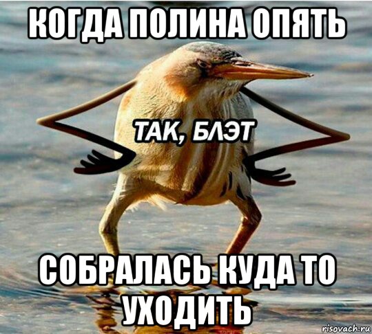 когда полина опять собралась куда то уходить