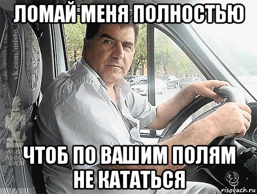 ломай меня полностью чтоб по вашим полям не кататься, Мем типичный водитель маршрутки