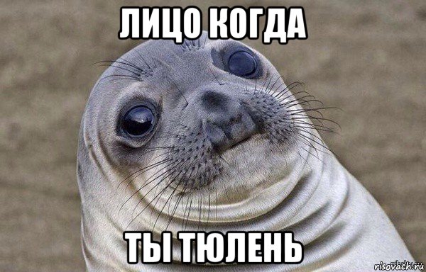 лицо когда ты тюлень