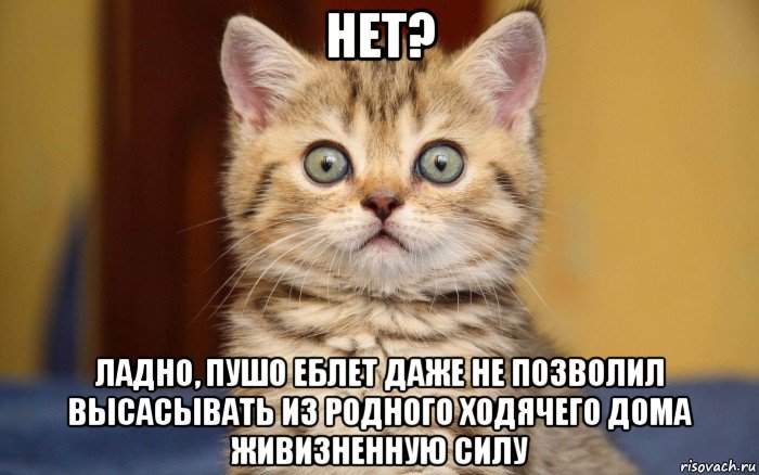 нет? ладно, пушо еблет даже не позволил высасывать из родного ходячего дома живизненную силу, Мем  удивление