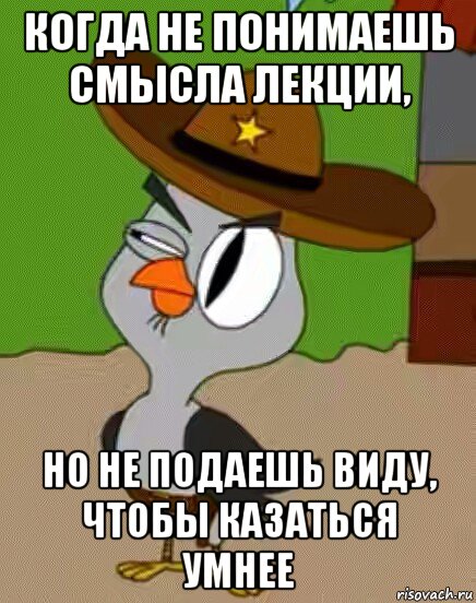 когда не понимаешь смысла лекции, но не подаешь виду, чтобы казаться умнее, Мем    Упоротая сова