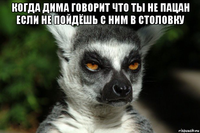 когда дима говорит что ты не пацан если не пойдёшь с ним в столовку , Мем   Я збагоен