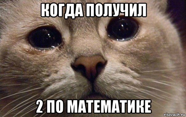 когда получил 2 по математике, Мем   В мире грустит один котик