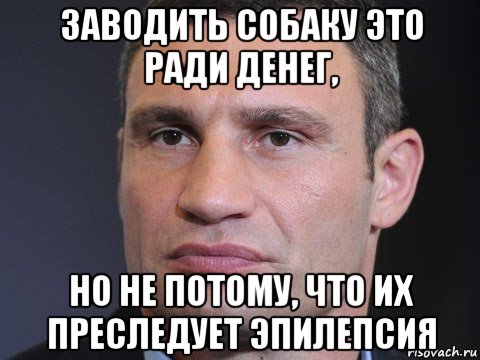 заводить собаку это ради денег, но не потому, что их преследует эпилепсия