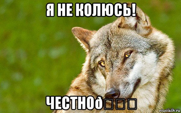 Мем   Volf