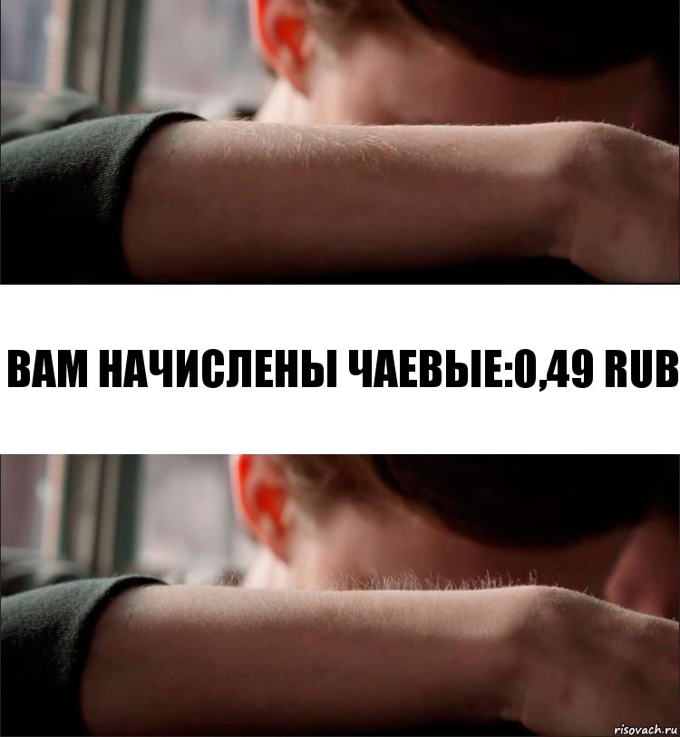 Вам начислены чаевые:0,49 RUB