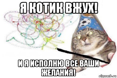 я котик вжух! и я исполню все ваши желания!, Мем Вжух мем