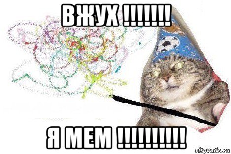 вжух !!!!!!! я мем !!!!!!!!!!, Мем Вжух мем