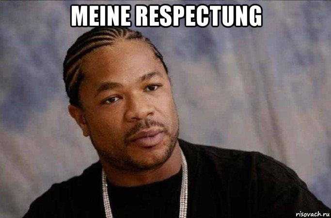 meine respectung , Мем Xzibit in Grove