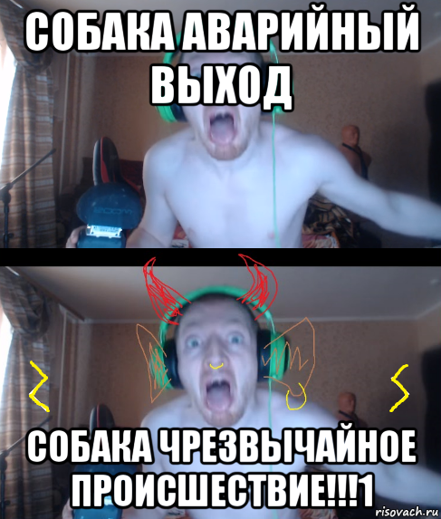 собака аварийный выход собака чрезвычайное происшествие!!!1