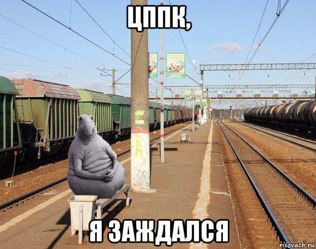 цппк, я заждался