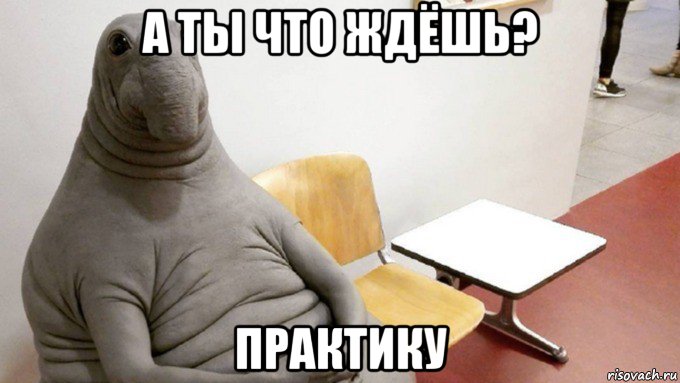 а ты что ждёшь? практику