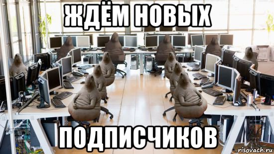 ждём новых подписчиков