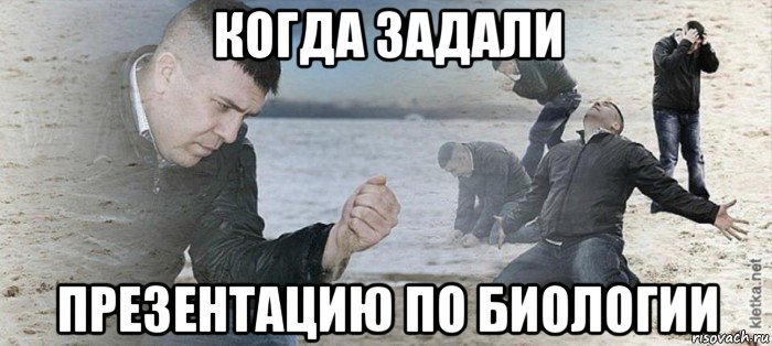 когда задали презентацию по биологии