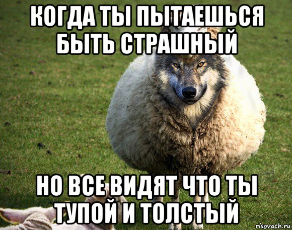 когда ты пытаешься быть страшный но все видят что ты тупой и толстый, Мем Злая Овца