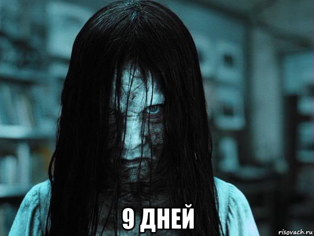  9 дней