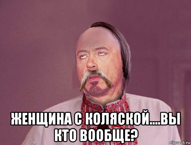  женщина с коляской....вы кто вообще?, Мем 10