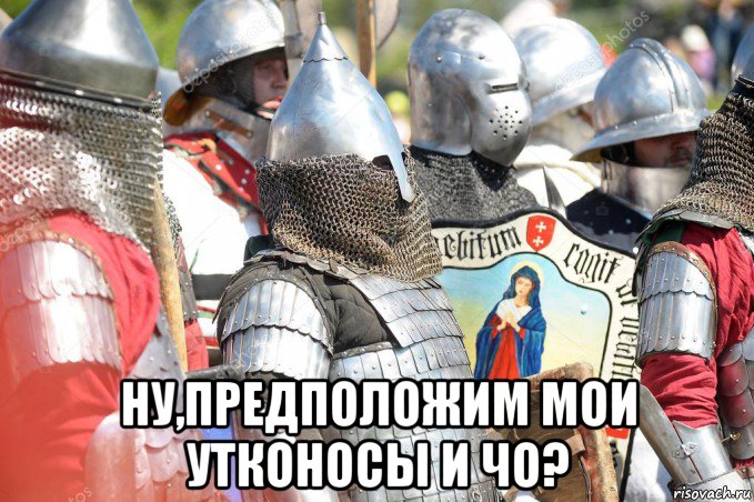  ну,предположим мои утконосы и чо?, Мем 1