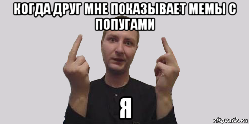 когда друг мне показывает мемы с попугами я, Мем Алексвэн