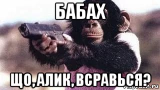 Алик Прикол