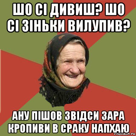 шо сі дивиш? шо сі зіньки вилупив? ану пішов звідси зара кропиви в сраку напхаю, Мем  Бабушка