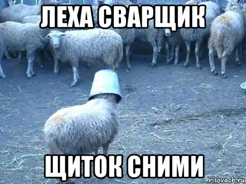 леха сварщик щиток сними