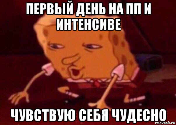 первый день на пп и интенсиве чувствую себя чудесно, Мем    Bettingmemes