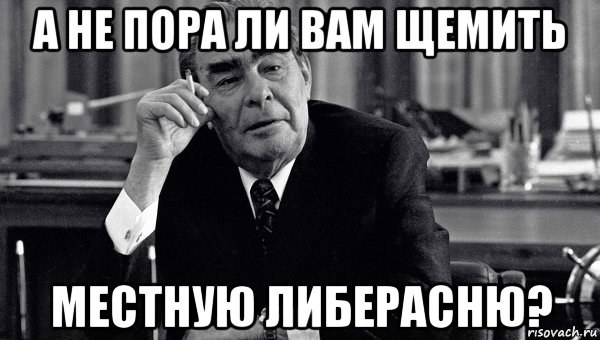 а не пора ли вам щемить местную либерасню?