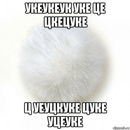 укеукеук уке це цкецуке ц уеуцкуке цуке уцеуке, Мем БС
